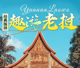 【趣游老撾 · 經(jīng)典版納】—昆明、普洱、西雙版納、磨丁、瑯勃拉邦四動(dòng)8日游